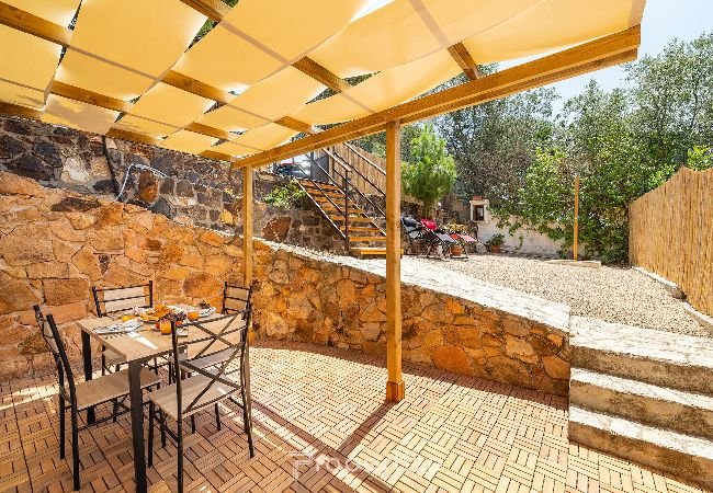 Vakantiehuizen Poggio dei Pini