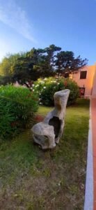 Dream the Sea – foto 22