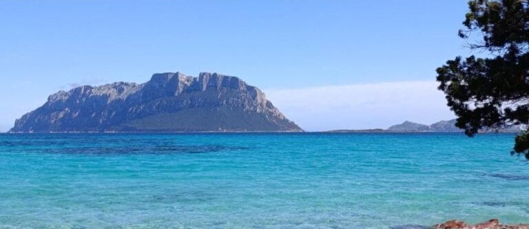 Profumo di Sardegna – foto 18