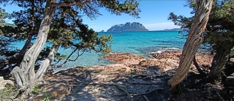 Profumo di Sardegna – foto 19