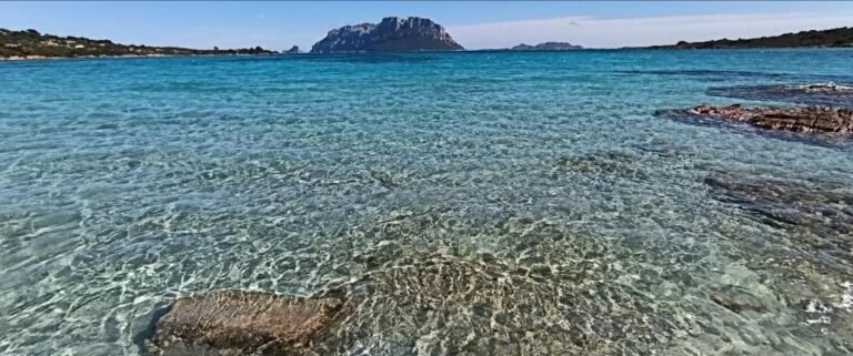 Profumo di Sardegna – foto 20