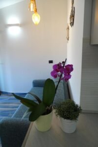 Sailor's House Porto Cervo – foto 12
