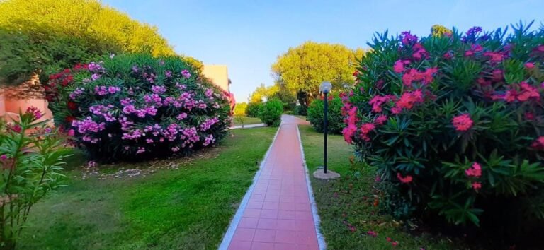 Sunset Blue House – foto 2
